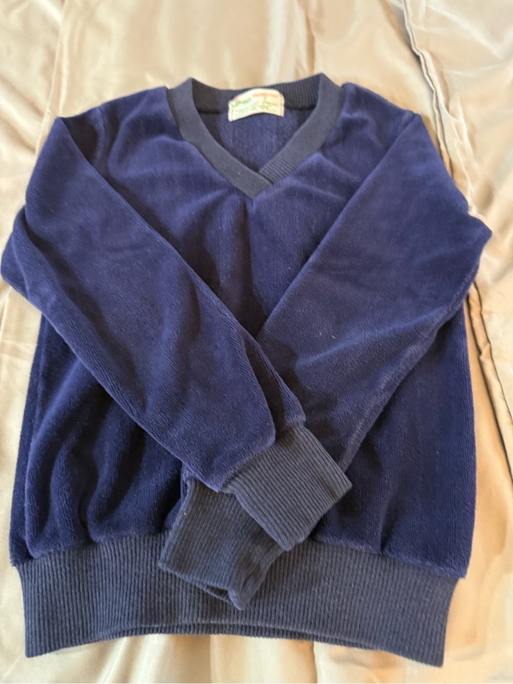 healthtex Men's V-Neck Sweater in Navy Blue